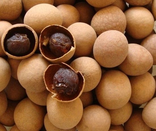 WENYAO Mini Chute Дегидратированные фрукты Оптическая сортировочная машина Сушеные абрикосы Персики Яблоки Цветовой сортировщик Удалить стебли Столков плесень 10