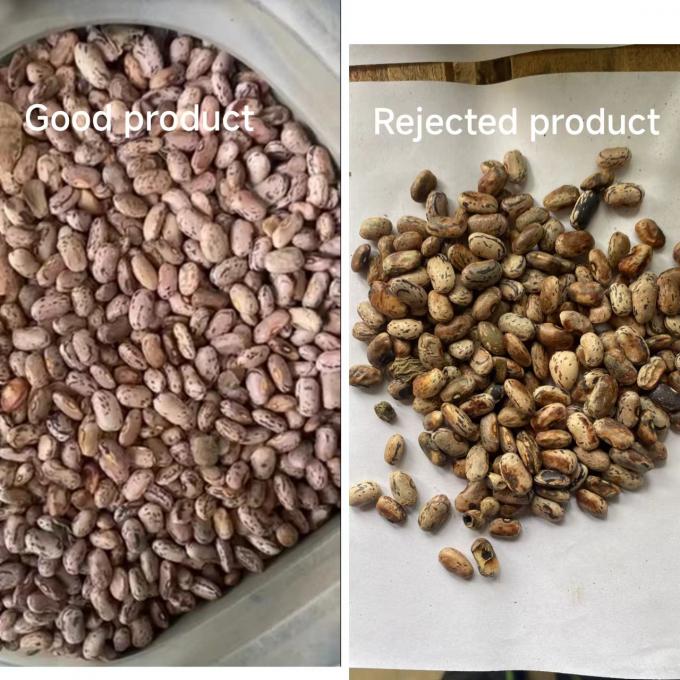 Вэньяо Китайская заводская цена полностью автоматическая красная фасоль почка фасоль цвет сортировщик 7