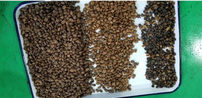 Интеллектуальная фабрика Вэньяо прямая продажа Почки Бобы Арахис Чикпины Цветосортирующая машина 13