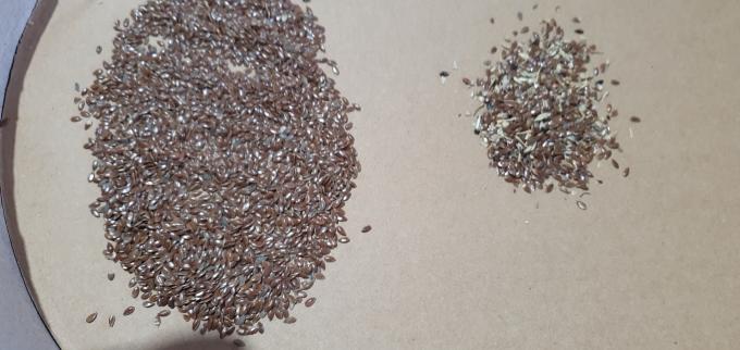 Wenyao 2025 Горячая продажа Семена сортировка полностью автоматические семена чиа Леновые семена цветовой сортировщик 13