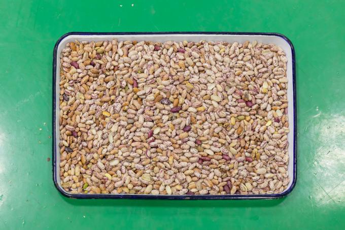 Wenyao Новейший дистанционный управляемый Интеллектуальный зерно Красный Почки Бобы Цветный сортировщик 4