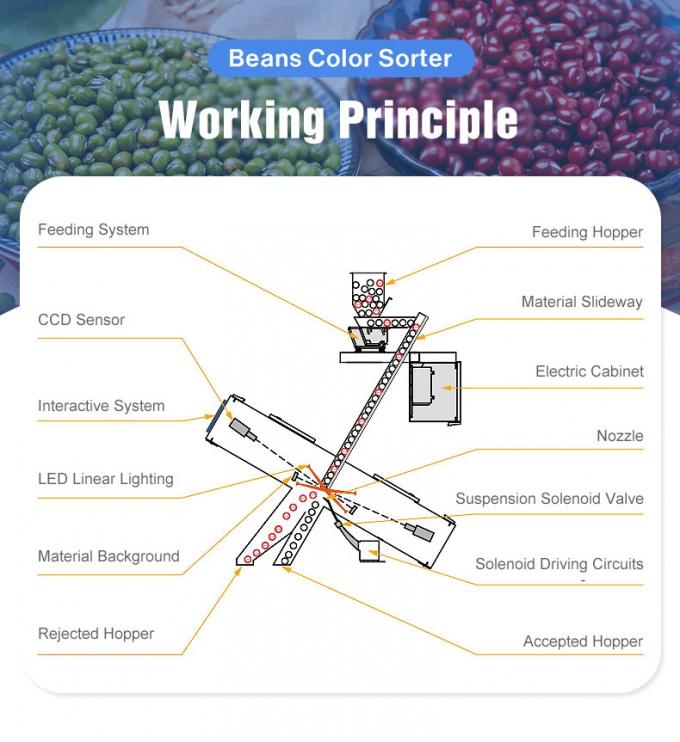 Вэньяо Китайская заводская цена полностью автоматическая красная фасоль почка фасоль цвет сортировщик 3