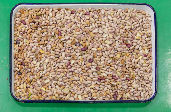 Wenyao полный автоматический 3 Chute Соя Широкий почки бобы цвет сортировщик машины 4