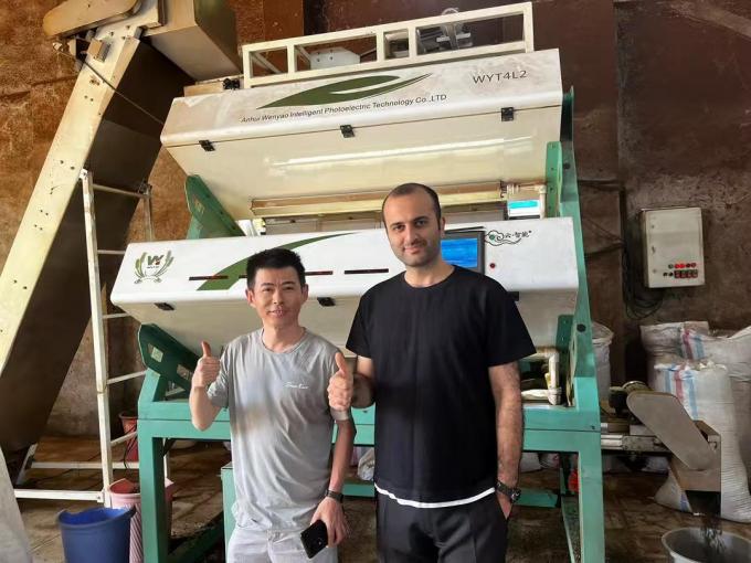 Wenyao CCD оптический цветосортировщик для кофейных зерен зерна риса 14