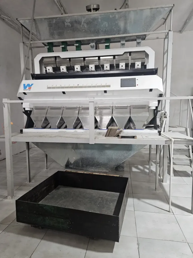 Автоматическая и эффективная машина для сортировки по цвету пластиковых хлопьев и пластиковых гранул из ПЭТ и ПВХ от Wenyao 5