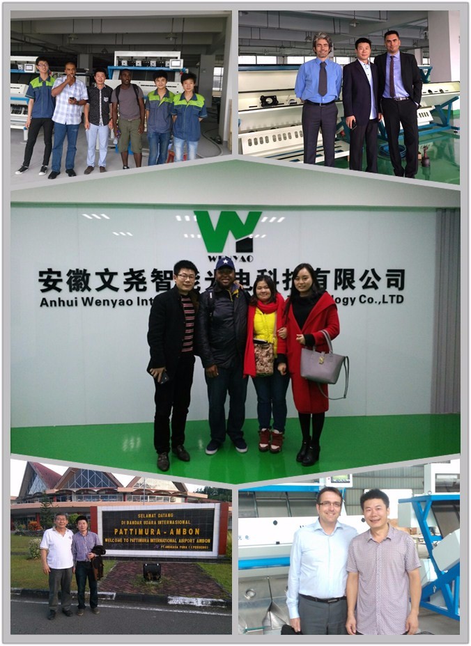 Автоматическая машина для сортировки черного перца Wenyao для высокоточной сортировки семян и бобов 17