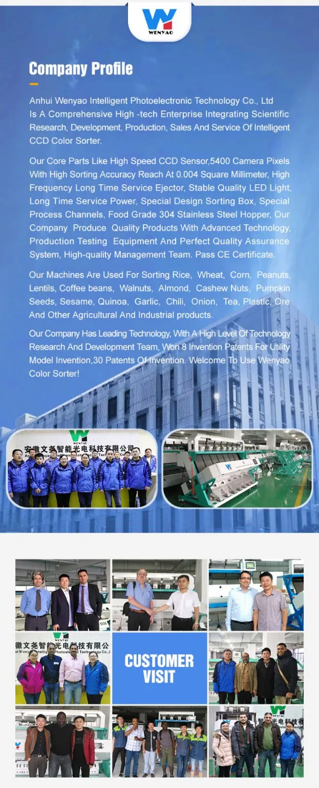 Соевые бобы цветосортировщик пуль сортировщик селекторная машина зеленые бобы черные сохум семена очистное оборудование 3