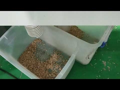 CCD Camera Vibrating Screen Wheat Color Sorter Machine 2 Years Warranty