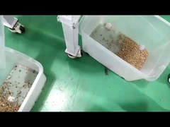 half chute coffee bean sorting video