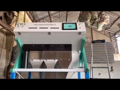 масляные семена