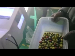 сортировщик оливкового цвета