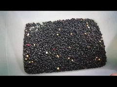 черный фасоль