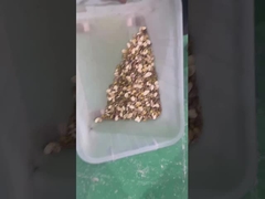 сортировщик цветов фисташек, тип ремня, сортировщик цветов