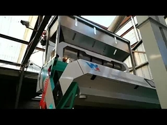 Сортировщик цветов широких бобов