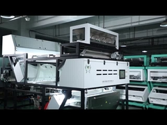 ЧИЛИ КОЛОР СОРТЕР